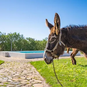 Burro By Host Wise Portimao